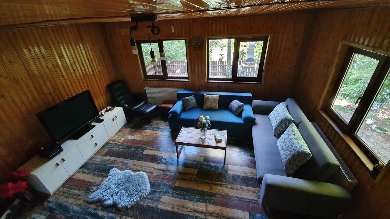 Дома для отпуска Cabana Lac Paltinu si Padure Valea Doftanei Teşila-17