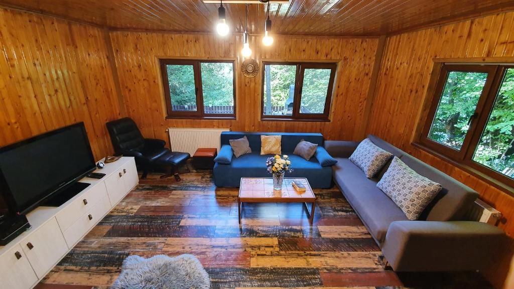 Дома для отпуска Cabana Lac Paltinu si Padure Valea Doftanei Teşila